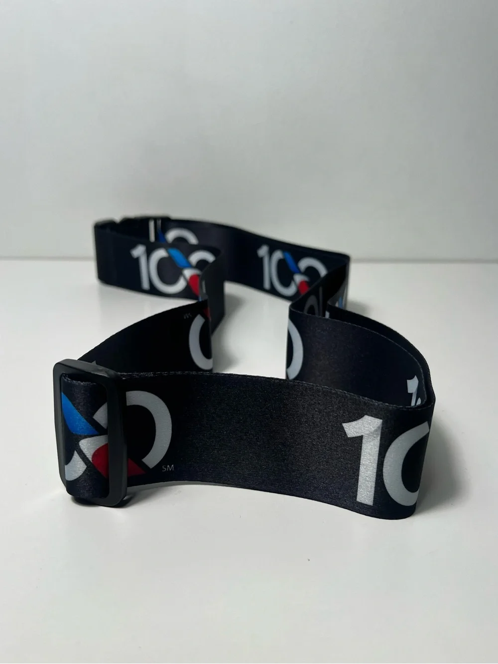 American Airlines AA 100 Years Commemorative Travel Luggage Suitcase Belt Strap